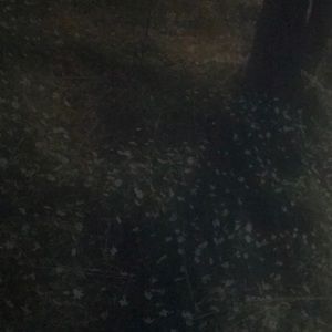 Meet your Posher, Kiara